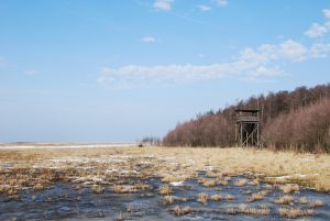 Birdwatching tower